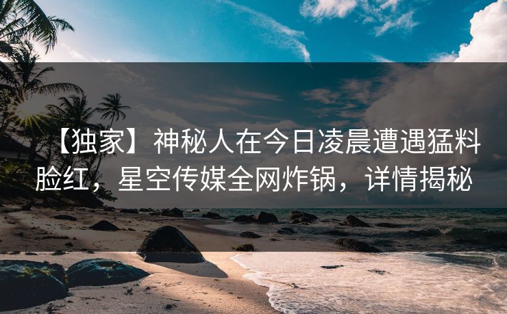 【独家】神秘人在今日凌晨遭遇猛料脸红，星空传媒全网炸锅，详情揭秘