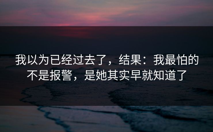 我以为已经过去了,结果:我最怕的不是报警,是她其实早就知道了 我以为已经过去了,结果:我最怕的不是报警,是她其实早就知道了